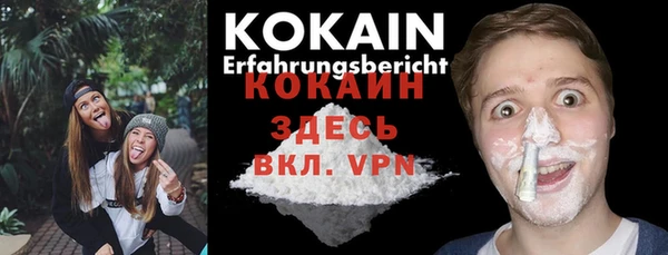 гидра Горняк