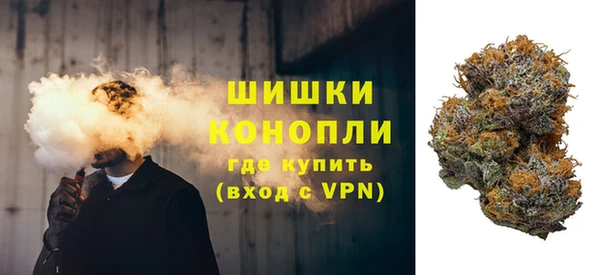 гидра Горняк