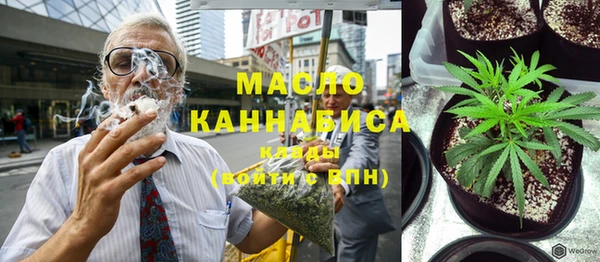 гидра Горняк