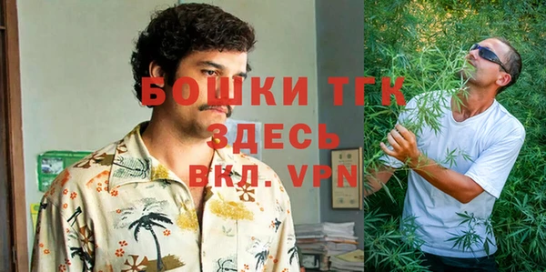 гидра Горняк
