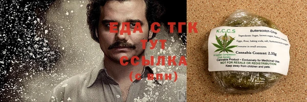 гидра Горняк