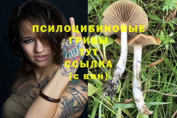 гидра Горняк