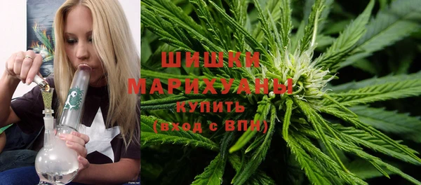 гидра Горняк