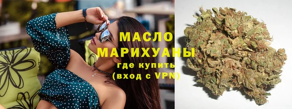 мдпв Вяземский
