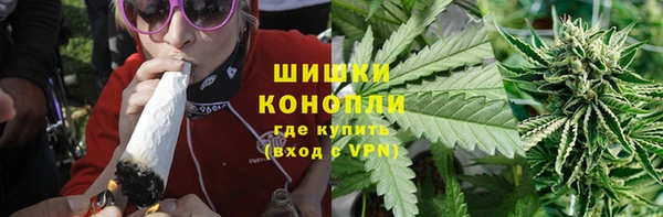 ГАЛЛЮЦИНОГЕННЫЕ ГРИБЫ Вязники