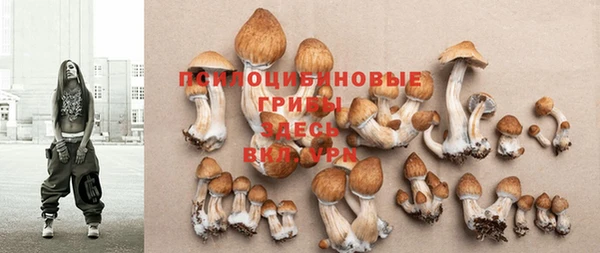 гидра Горняк