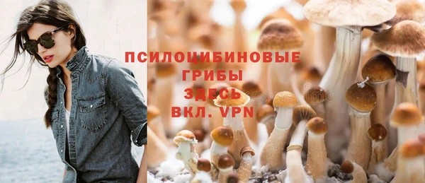 спиды Дмитриев