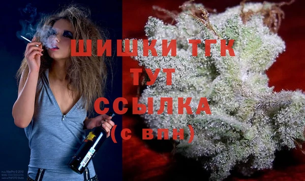 гидра Горняк