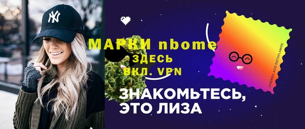 гидра Горняк